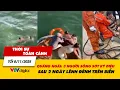 TSTC tối 8/11: Quảng Ngãi: 3 người sống sót kỳ diệu sau 2 ngày lênh đênh trên biển | VTV24