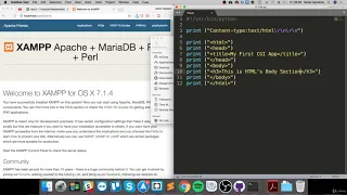 47 - Easy Python Programming Basic CGI Programming