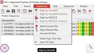 How perform alignment phylogenetic analysis in MEGA Biological Sciences Superior University