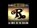 Banda El Recodo De Cruz Lizárraga - La Miel De Su Saliva (Audio)
