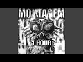 Download Lagu [1 HOUR] MONTAGEM XONADA (Ultra Slowed)