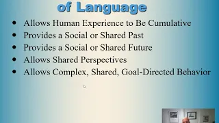 The Sociology of Culture