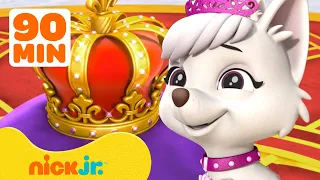 PAW Patrol Royalty Rescues & Adventures! w/ Sweetie 👑 90 Minutes | Nick Jr.