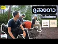 Download Lagu 370 ภูสอยดาว หน้าฝน เขียวๆ ฉ่ำๆ เดินง่ายกว่าหน้าหนาวนะ I ไปไหนมาบ้าง