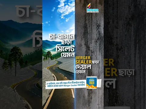 রঙ খসে পড়া, স্যাঁতসেঁতে ভাব ও দেয়ালের ক্ষতি থেকে সুরক্ষায় রঙের আগে লাগান Berger Sealer