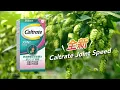 Caltrate Joint Speed Herbal Hops Extract \u0026 UC-II TVC SG Chinese 15s