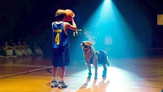 طفل بيربي كلب وبيكتشف إنه موهوب في كرة السلة وبيبقوا مشهورين جدا Air Bud 