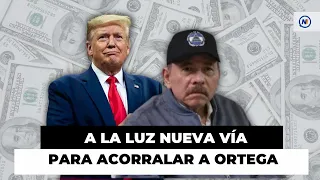 ⚠️ Experto al que TRUMP ESCUCHA pone TEMA SENSIBLE como alternativa
