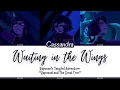 Download Lagu Rapunzel’s Tangled Adventure ‘Waiting in the Wings’ Lyrics (Color Coded)