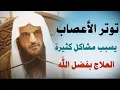 Download Lagu علاج توتر الأعصاب و القلق والتوتر وقلة الرزق سيفتح الله عليك أبواب الخير الشيخ عبدالرزاق البدر