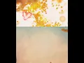 ‥‥‥‥🌸 범키 ᆢ숨쉬는 모든 날 .‥‥‥‥🌸