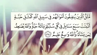 آيات عظيمة عن الانفاق من سورة البقرة بصوت فارس عباد مثل الذين ينفقون أموالهم  آيات عظيمة عن الانفاق من سورة البقرة بصوت فارس عباد مثل الذين ينفقون أموالهم