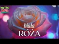 Lagu Biała róża, piękna róża 🔴 RETRO BAND 🎷🌟 Dęblin Puławy ❤️ Wspomnienia. Model MT Cover