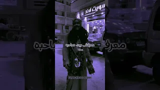 اقوي موال لايف الندل لما شبع ما يعرفش بيت صاحبه ترند 2025 