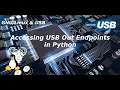 USB - Accessing USB Out Endpoints in Python