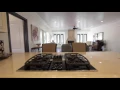 264 Termino Ave Long Beach