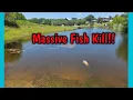 MASSIVE INFLOW TO Lake Corpus Christi CAUSING FISH KILL 26