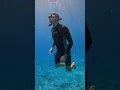 I learned to dive like a badjao | Pujada Bay 🇵🇭