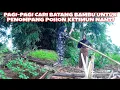Download Lagu CARI BATANG BAMBU UNTUK PERSIAPAN DI KEBUN MINI, TANAMAN MENTIMUN SUDAH MULAI BESAR
