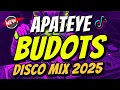 Download Lagu APT THAILAND  (Apateye) - BUDOTS REMIX | DJ JOHNREY DISCO REMIX