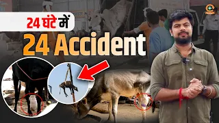 24 घंटे में 24 Accident Cases! आखिर इतनी बड़ी संख्या में हादसे कैसे हुए? 😢🐄GSD Animal Hospital