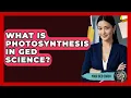 What Is Photosynthesis In GED Science - Your GED Coach