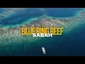 Download Lagu RareGEMS I Blue Reef, Lahad Datu, Sabah