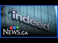 Businesses hiring more temporary seasonal workers Indeed Canada