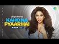 Download Lagu Kaho Na Pyaar Hai - Remix | DJ Shilpi Sharma | Romantic Bollywood Song