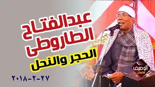 الدكتور عبدالفتاح الطاروطى رائعة الحجر والنحل ربع المفرب المنصورة 27 2 2018 