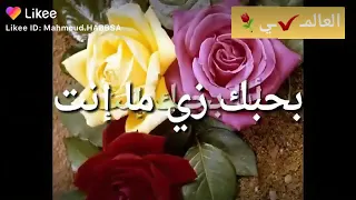 انا  بحبك انت بحبك زي ماانت دندنها