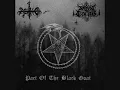 Download Lagu Aske -  Goat Spawn