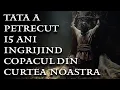 Lagu Tata a petrecut 15 ani ingrijind copacul din curtea noastra -Poveste de groaza