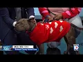 Broward County Animal Care seeks furever home for Farrah highlights animal adoption events