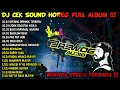 Download Lagu DJ HOREG BREWOG STUDIO TERBARU FULL ALBUM AMUNISI DJ BATTLE KARNAVAL ANDALAN BREWOD DAN MEMED 2024