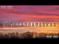 給你一瓶魔法藥水-告五人宇宙的有趣 我才不在意我在意的是 你牽我的手 而亂#lyrics #pinyinlyrics #动态歌词  #tiktok #tiktoksong #抖音热门