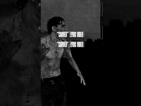 The lyric video for "Carved" from @THEPLOTINYOU is out now