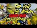 Download Lagu suara pikat semua jenis burung kecil dan besar paling banyak dicari