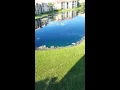 Lacosta apt Naples fl act 2
