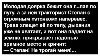 Про тракториста Степана и молодую доярку Анекдоты Сборник юмора 