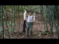 Download Lagu Adventure in the forest to find herbs and trap a giant rabbit: CEO leaves the city