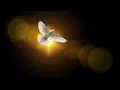 HOLY SPIRIT -  MARTIN PK - Lyrics