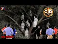 Lagu जंगल के बीच भूतिया पेड़ पर CID टीम का सामना भूतों की फौज से | CID | सी.आई.डी. | Latest Episode