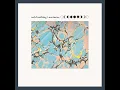 Rheya - Wild Nothing