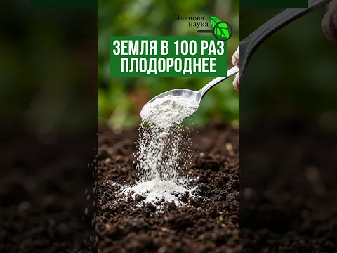 💥 СДЕЛАЙ ЭТО в СЕНТЯБРЕ! ЗЕМЛЯ станет в 100 РАЗ ПЛОДОРОДНЕЕ! Осеннее омоложение и оздоровление почвы
