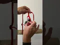 Download Lagu How to put a parrot harness. Check this video - African Grey