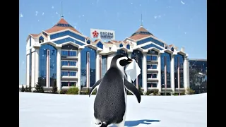 Penguen, burun akıntısına yenik düşünce soluğu Erdem Sağlık Grubu'nda aldı.