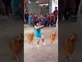 Download Lagu video những em bé dễ thương hài hước nhất trên tiktok
