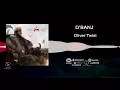 Oliver Twist - D'Banj
