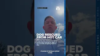 Dog rescued from car outside Ulta owner charged with animal cruelty